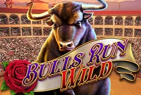 Bulls Run Wild