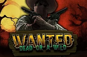 Wanted Dead or a Wild